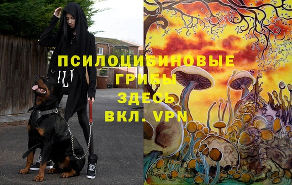 jwh Киреевск