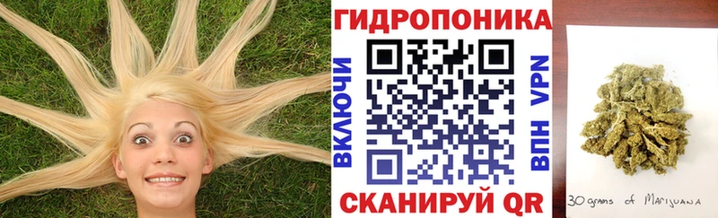 Купить где Георгиевск Марихуана индика
